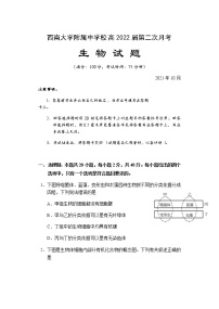 重庆市西南大学附属中学校2022届高三上学期第二次月考生物试题 含答案