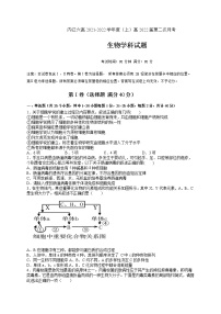 四川省内江市第六中学2022届高三上学期第二次月考生物试题 含答案