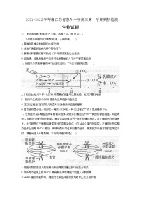 2022届江苏省泰州中学高三上学期期初检测生物试题含答案