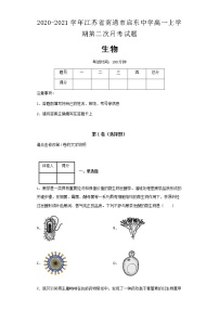 2020-2021学年江苏省南通市启东中学高一上学期第二次月考生物试题含解析