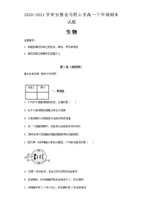 2020-2021学年安徽省马鞍山市高一下学期期末生物试题含解析