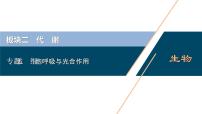 专题05 细胞呼吸与光合作用-2021年高考生物二轮模块复习课件（共124张PPT）