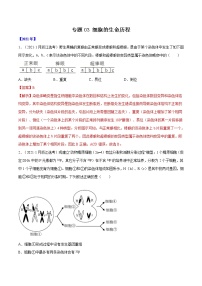 专题03 细胞的生命历程-十年（2012-2021）高考生物真题分项汇编（全国通用）（解析版）