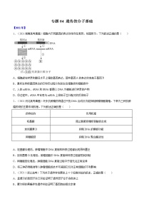 专题04 遗传的分子基础-十年(2012-2021)高考生物真题分项汇编(全国通用)(原卷版)