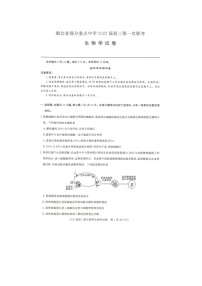 湖北省部分重点中学2022届高三上学期第一次联考生物试题 扫描版含答案