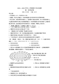 河南省焦作市县级重点中学2021-2022学年高一上学期期中考试生物试题含答案