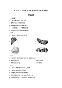 浙江省温州市2020届高三11月普通高中高考适应性测试一模考试生物试卷及答案