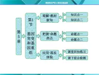 人教版 (新课标)必修2《遗传与进化》第五章 基因突变及其他变异第1节 基因突变和基因重组课文内容课件ppt