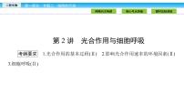 高三生物大二轮专题复习课件:专题二 细胞的代谢2.2
