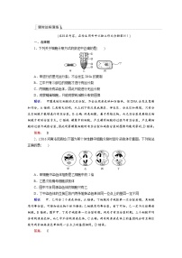 高三生物大二轮专题复习测试：专题三 细胞的生命历程3.1 word版含答案
