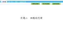 高三生物大二轮专题复习课件：专题二 细胞的代谢2.1