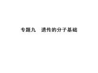 高考生物一轮总复习课件：专题9 遗传的分子基础