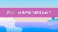 高考一轮复习第8讲 细胞呼吸的原理与应用课件PPT