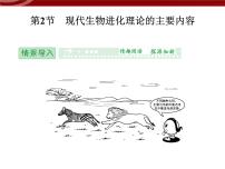 人教版 (新课标)必修2《遗传与进化》本节综合评课课件ppt