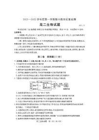 山东省临沂市兰山区、罗庄区2021-2022学年高二上学期中考试生物试题PDF版含答案