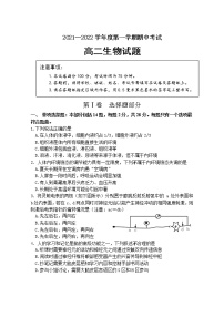 江苏省连云港市东海县2021-2022学年高二上学期期中考试生物【试卷+答案】