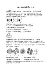 【新课标新高考】2022届高考生物二轮复习专题练AB卷 专题八 遗传的细胞基础（B卷）