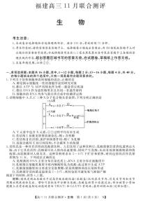 福建省部分名校2022届高三上学期11月联合测评生物试题PDF版含答案