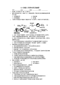 高中生物人教版 (新课标)选修3《现代生物科技专题》专题3 胚胎工程3.3 胚胎工程的应用及前景一课一练