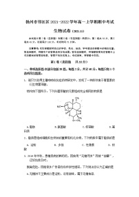 江苏省扬州市邗江区2021-2022学年高一上学期期中考试生物试题含答案