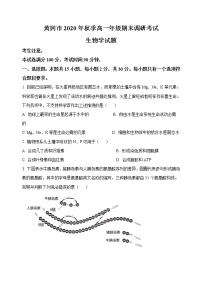 湖北省黄冈市2020-2021学年高一上学期期末调研考试生物试题 含答案