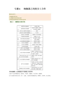 专题06 细胞器之间的分工合作（知识点串讲）-2021-2022学年高一生物上学期期末考点大串讲（人教版2019必修1）学案