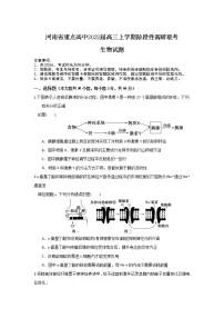 河南省重点高中2022届高三上学期阶段性调研联考生物试题含答案