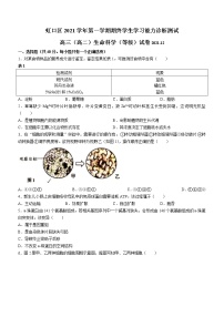 生物 2022届上海市虹口区高三(高二)一模生物试题