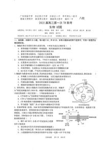 2022届八省八校（T8联考）生物试题及答案