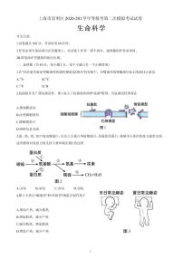 2021年上海市崇明县高三二模生物试卷及答案