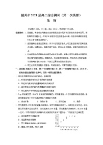 2021届广东省韶关市高三生物试卷（含答案解析）