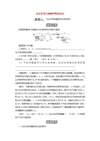 高考生物一轮复习第3单元细胞的能量供应和利用素养加强课2光合作用与细胞呼吸的综合学案