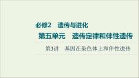 高考生物一轮复习第5单元遗传定律和伴性遗传第3讲基因在染色体上和伴性遗传课件