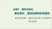 高考生物一轮复习第5单元遗传定律和伴性遗传素养加强课5基因在染色体上位置的判断与探究课件