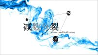 2020-2021学年一 减数分裂集体备课ppt课件