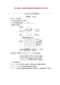 新教材高考生物一轮复习第二单元遗传的分子基础2DNA的结构复制及基因通常是有遗传效应的DNA片段课前学案必修2