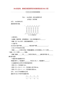 新教材高考生物一轮复习第二单元遗传的分子基础2DNA的结构复制及基因通常是有遗传效应的DNA片段学案必修2