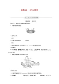 新教材高考生物一轮复习第三单元细胞的能量供应和利用3能量之源__光与光合作用课前学案必修1