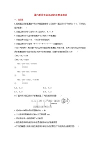 新教材高考生物一轮复习考点规范练3蛋白质是生命活动的主要承担者含解析新人教版