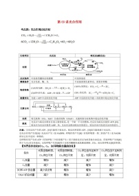 新教材高考生物一轮复习第三单元细胞的能量供应和利用第09讲光合作用第2课时教案