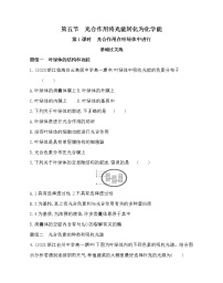生物必修1《分子与细胞》第五节 光合作用将光能转化为化学能同步训练题