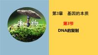 高中第3节 DNA的复制课堂教学ppt课件