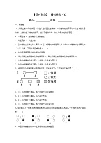 高中人教版 (2019)第3节 伴性遗传第2课时同步测试题