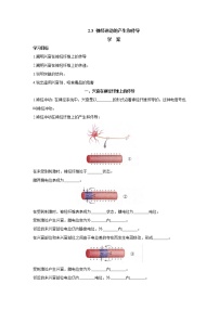 高中生物人教版 (2019)选择性必修1第3节 神经冲动的产生和传导导学案