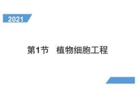 生物选择性必修3二 植物细胞工程的应用课堂教学ppt课件