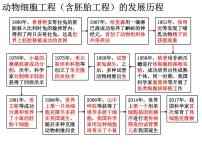 人教版 (2019)选择性必修3一 动物细胞培养背景图课件ppt