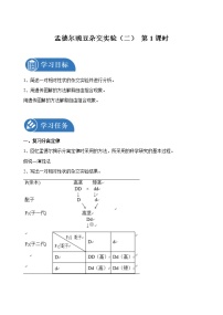 高中生物人教版 (2019)必修2《遗传与进化》第2节 孟德尔的豌豆杂交实验（二）第1课时导学案