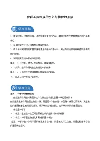 高中生物人教版 (2019)必修2《遗传与进化》一 种群基因组成的变化学案