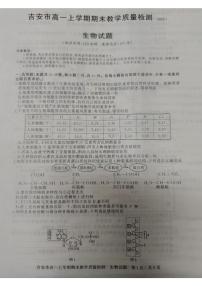 江西省吉安市2021-2022学年高一上学期期末考试生物PDF版含答案