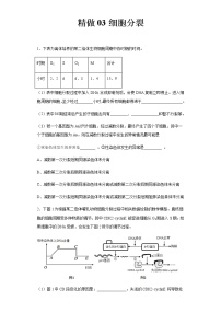 精做03 细胞分裂-备战2022年高考生物大题精做（新高考专用）